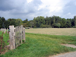 Korschenbroich - Landschaft