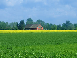 Korschenbroich - Landschaft